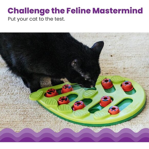 Nina Ottosson  Petstages Buggin' Out Puzzle & Play Interactive Cat Treat Puzzle - Picture 2 of 8